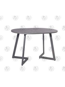 Стол САЕН № 21 ( 120*80) не раскладной