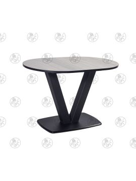 Стол САЕН № 14 (120*80) не раскладной